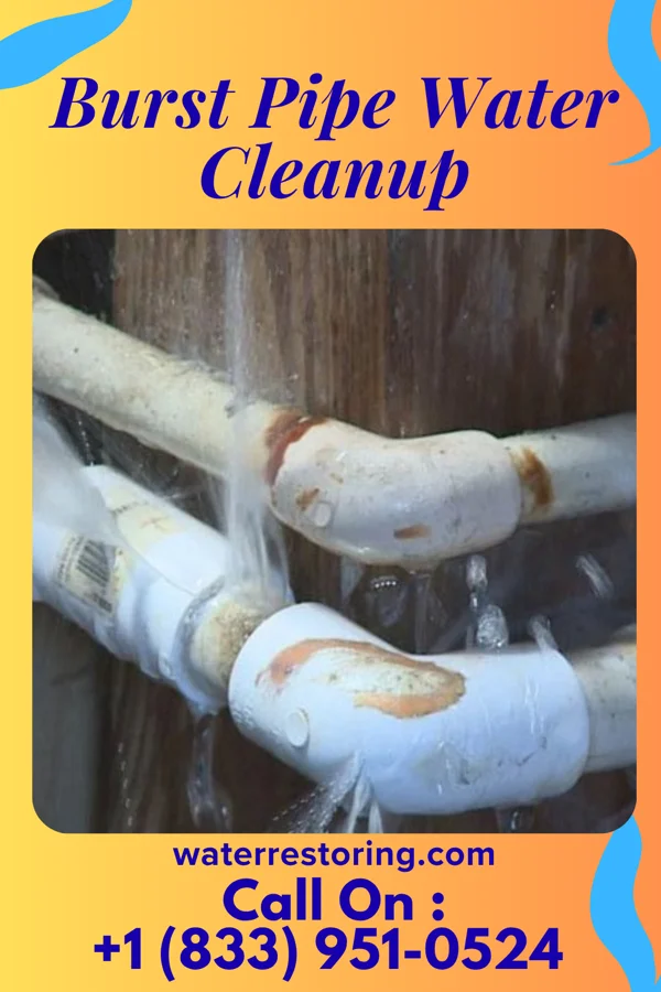 Burst Pipe Water Cleanup in Bostwick, GA