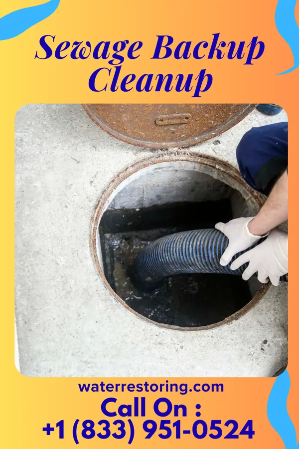 Sewage Backup Cleanup in Bostwick, GA